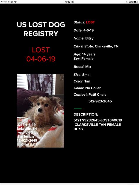 Craigslist clarksville tennessee pets. Things To Know About Craigslist clarksville tennessee pets. 